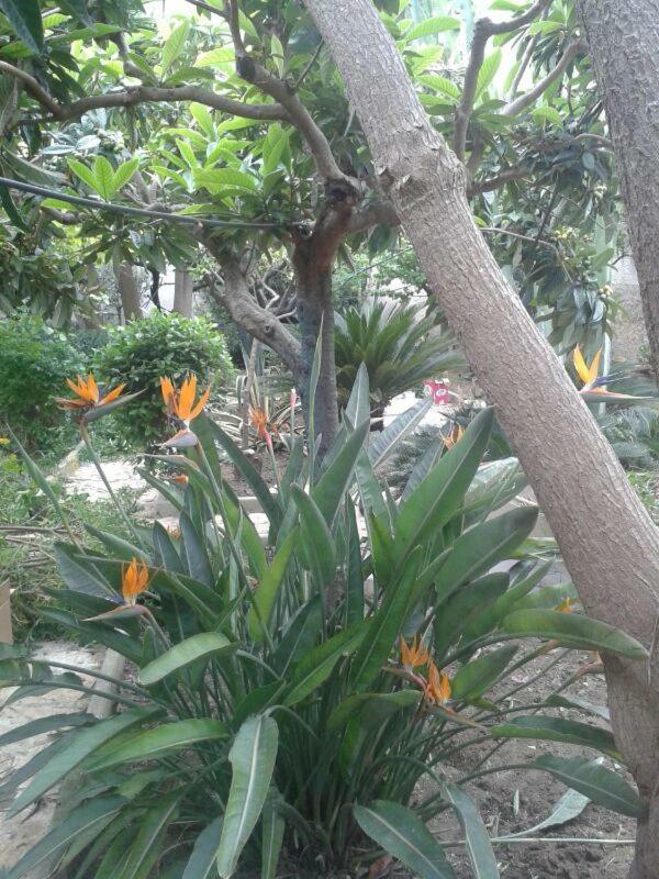 Casa Millenovecento Villa บรินดิซิ ภายนอก รูปภาพ